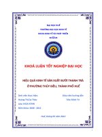 HIỆU QUẢ KINH tế sản XUẤT bưởi THANH TRÀ ở PHƯỜNG THỦY BIỀU, THÀNH PHỐ HUẾ