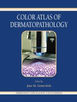 Tài liệu COLOR ATLAS OF DERMATOPATHOLOGY_1 pdf