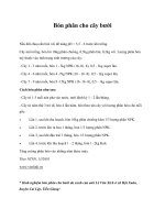 Tài liệu Bón phân cho cây bưởi pot