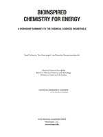 Tài liệu BIOINSPIRED CHEMISTRY FOR ENERGY A WORKSHOP SUMMARY TO THE CHEMICAL SCIENCES ROUNDTABLE pptx
