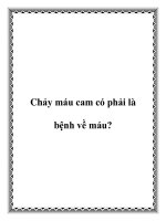 Tài liệu Chảy máu cam có phải là bệnh về máu? pptx
