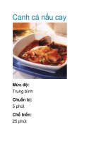 Tài liệu Canh cá nấu cay pdf