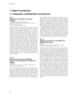 Tài liệu Báo cáo khoa học: 1. Signal Transduction 1.1 Integration of Metabolism and Survival pdf