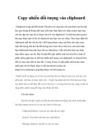 Tài liệu Copy nhiều đối tượng vào clipboard pdf