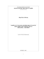 NGHIÊN CỨU ỨNG DỤNG MÔ HÌNH MIKE TỪNG BƯỚC HOÀN THIỆN CÔNG NGHỆ DỰ BÁO LŨ SÔNG HỒNG – THÁI BÌNH