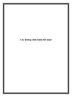 Tài liệu Cây dướng chữa bệnh tiết niệu! ppt