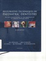 Tài liệu Restorative Techniques in Paediatric Dentistry: An Illustrated Guide to the Restoration of Carious Primary Teeth pptx