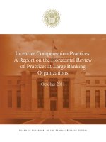 Tài liệu Incentive Compensation Practices: A Report on the Horizontal Review of Practices at Large Banking Organizations pdf