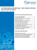 Tài liệu HỆ THỐNG NGÂN HÀNG VIỆT NAM – THỰC TRẠNG VÀ DỰ BÁO pdf