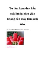Tài liệu Tự làm kem dưa hấu mát lịm lại đơn giản không cần máy làm kem nào docx