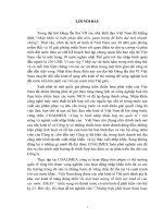 những biện phát hoàn thiện hoạt động nhập khẩu hàng hoá của công ty xuất nhập khẩu hợp tác quốc tế coalimex