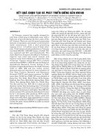 Tài liệu KẾT QUẢ CHỌN TẠO VÀ PHÁT TRIỂN GIỐNG SẮN KM140 pptx