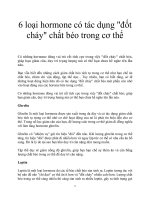 Tài liệu 6 loại hormone có tác dụng 