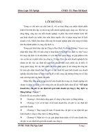 Kế toán doanh thu, chi phí và xác định kết quả kinh doanh tại công ty Bay dich vụ hàng không