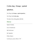 Tài liệu Cá dìa công - Orange spotted spinefoot doc