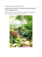 Tài liệu Không gian thoáng mát cho ngoại thất nhà vườn doc