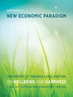 Tài liệu The RepoRT of The high-LeveL MeeTing on WellBeing and Happiness docx