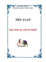 Tài liệu TIỂU LUẬN: Quy trình sản xuất trà chanh pdf
