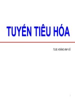 Tài liệu Tuyến tiêu hóa ppt