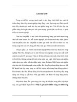 một số giải pháp nhằm nâng cao khả năng tiêu thụ sản phẩm của công ty giấy lửa việt