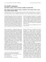 Tài liệu Báo cáo Y học: The RuvABC resolvasome Quantitative analysis of RuvA and RuvC assembly on junction DNA doc