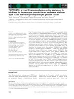 Tài liệu Báo cáo khoa học: TMPRSS13, a type II transmembrane serine protease, is inhibited by hepatocyte growth factor activator inhibitor type 1 and activates pro-hepatocyte growth factor pdf