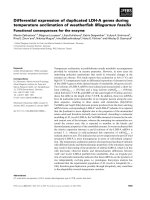 Tài liệu Báo cáo khoa học: Differential expression of duplicated LDH-A genes during temperature acclimation of weatherﬁsh Misgurnus fossilis Functional consequences for the enzyme ppt