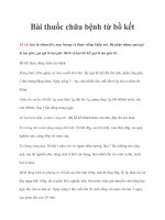 Tài liệu Bài thuốc chữa bệnh từ bồ kết pot