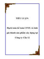 Tài liệu TIỂU LUẬN: Hạch toán kế toán CFSX và tính giá thành sản phẩm xây dựng tại Công ty Cầu 12 ppt