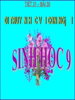 Tài liệu Bài 31: DI TRUYỀN HỌC VỚI CON NGƯỜI pdf