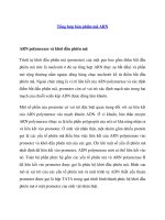 Tài liệu Tổng hợp bản phiên mã ARN doc