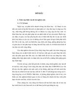 nghiên cứu mức độ trí tuệ của học sinh từ 11 đến 15 tuổi và khả năng sử dụng test raven ở lào