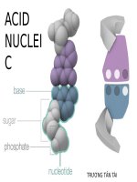 Acid nucleic Hỗ trợ dowload tài liệu 123doc qua thẻ cào liên hệ Zalo: 0587998338