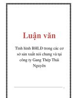 Tài liệu Luận văn: Tình hình BHLĐ trong các cơ sở sản xuất nói chung và tại công ty Gang Thép Thái Nguyên pdf
