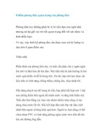 Tài liệu 8 điểm phong thủy quan trọng của phòng tắm doc