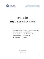 Báo cáo thực tập nhận thức Công ty TNHH SX-TM Lam Ngọc
