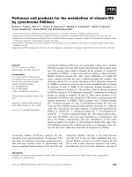 Tài liệu Báo cáo khoa học: Pathways and products for the metabolism of vitamin D3 by cytochrome P450scc docx
