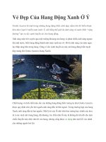 Tài liệu Vẻ Đẹp Của Hang Động Xanh Ở Ý pptx