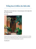 Tài liệu Trồng hoa tô điểm cho hiên nhà doc