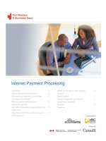 Tài liệu Internet Payment Processing docx