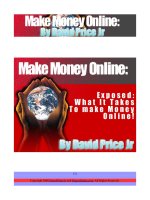 Tài liệu what it takes money online doc