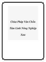 Tài liệu Chùa Pháp Vân Chốn Tâm Linh Nông Nghiệp Xưa pptx