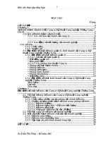 sự hình thành và phát triển của công ty kỹ thuật công nghiệp thăng long – litech