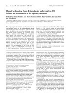 Tài liệu Báo cáo khoa học: Phenol hydroxylase from Acinetobacter radioresistens S13 Isolation and characterization of the regulatory component docx