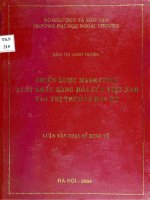 chiến lược marketing xuất khẩu hàng hóa của việt nam vào thị trường hoa kỳ