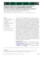 Tài liệu Báo cáo khoa học: Structural effects of a dimer interface mutation on catalytic activity of triosephosphate isomerase The role of conserved residues and complementary mutations pptx