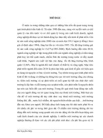 bước đầu nghiên cứu môi trường lao động và ảnh hưởng của nó tới sức khoẻ người lao động tại công ty cp ptxd&xnk sông hồng
