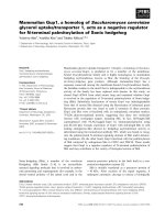 Tài liệu Báo cáo khoa học: Mammalian Gup1, a homolog of Saccharomyces cerevisiae glycerol uptake/transporter 1, acts as a negative regulator for N-terminal palmitoylation of Sonic hedgehog doc