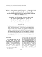 Tài liệu Báo cáo 