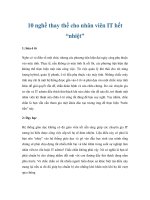 Tài liệu 10 nghề thay thế cho nhân viên IT hết “nhiệt” pdf